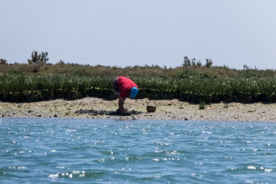 Faro: Kayak Hire in Ria Formosa Natural Park - Quick takes: what makes this kayak hire work
