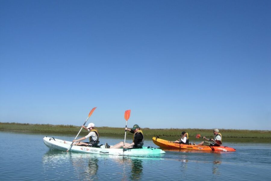 Faro: Kayak Hire in Ria Formosa Natural Park - Navigating the Ria Formosa: views, wildlife, and route decisions