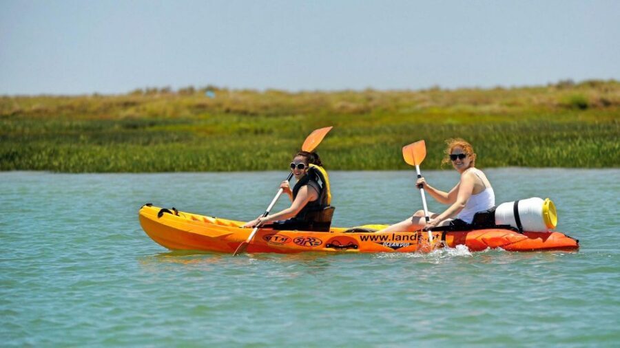 Faro: Kayak Hire in Ria Formosa Natural Park - Practical value and what you pay for at $40 per person