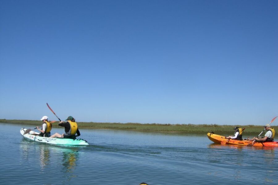 Faro: Kayak Hire in Ria Formosa Natural Park - What to bring (and what to skip) so the day stays easy