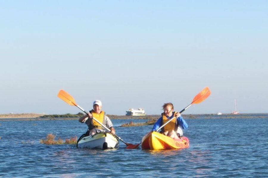Faro: Kayak Hire in Ria Formosa Natural Park - Should you book this Faro kayak hire?