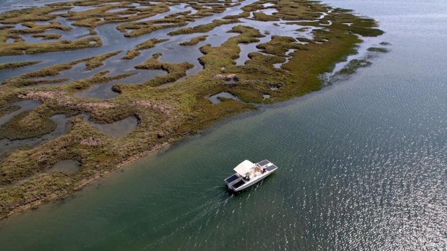 Faro: Ria Formosa Boat Tour by Eco-Friendly Solar Boat - Quick hits: what makes this tour work so well