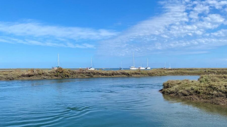 Faro: Ria Formosa Boat Tour by Eco-Friendly Solar Boat - Smart tips before you go