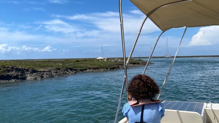 Faro: Ria Formosa Boat Tour by Eco-Friendly Solar Boat - Why the solar boat is the whole point in Ria Formosa
