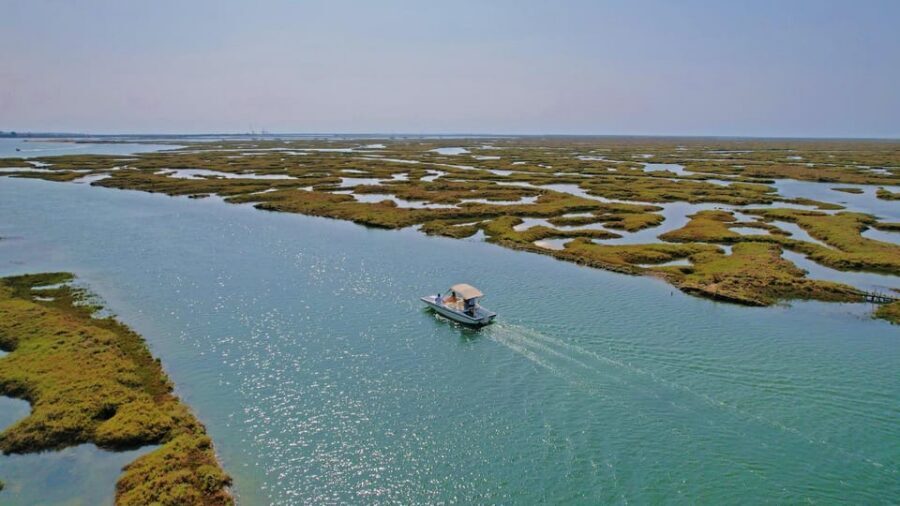 Faro: Ria Formosa Boat Tour by Eco-Friendly Solar Boat - The 1-hour cruise in Parque Natural da Ria Formosa: what happens on the water