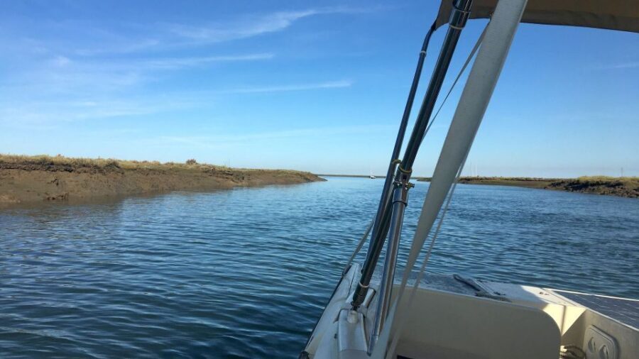 Faro: Ria Formosa Boat Tour by Eco-Friendly Solar Boat - What “eco-friendly” means here, in practical terms