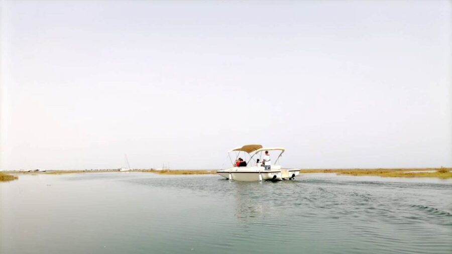 Faro: Ria Formosa Boat Tour by Eco-Friendly Solar Boat - Price and value: is $29 for an hour actually worth it?