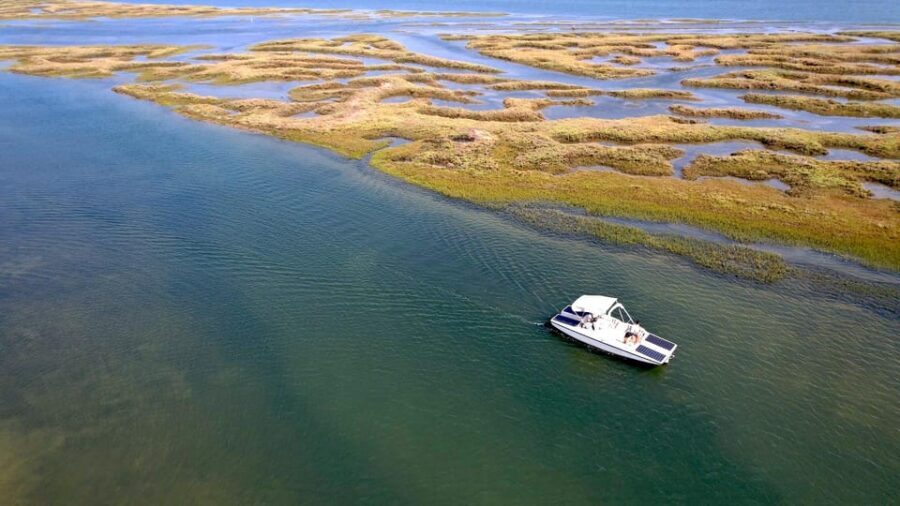 Faro: Ria Formosa Boat Tour by Eco-Friendly Solar Boat - Who this Faro solar boat tour suits best