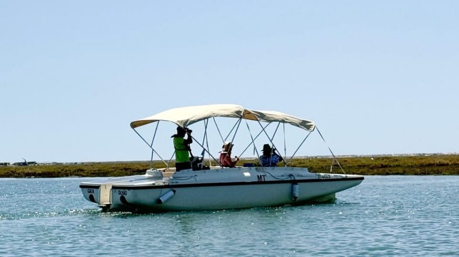 Faro: Ria Formosa Boat Tour by Eco-Friendly Solar Boat - Where you meet at Cais das Portas do Mar (and why it’s convenient)