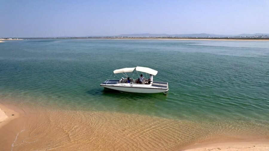 Faro: Ria Formosa Eco Birdwatching Boat Tour - Ria Formosa around Faro: why birds keep showing up