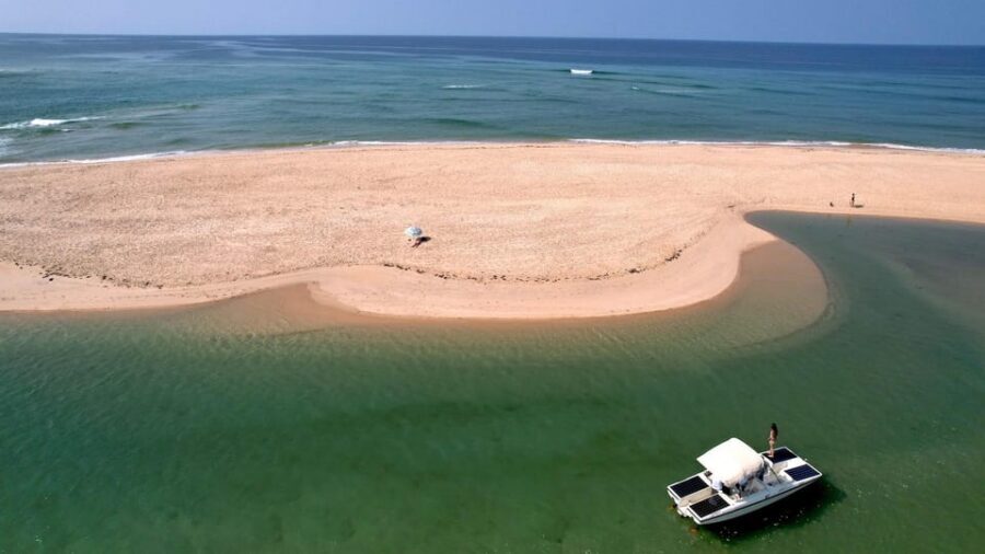 Faro: Ria Formosa Eco Birdwatching Boat Tour - What you’ll see: herons, spoonbills, flamingos, and waders