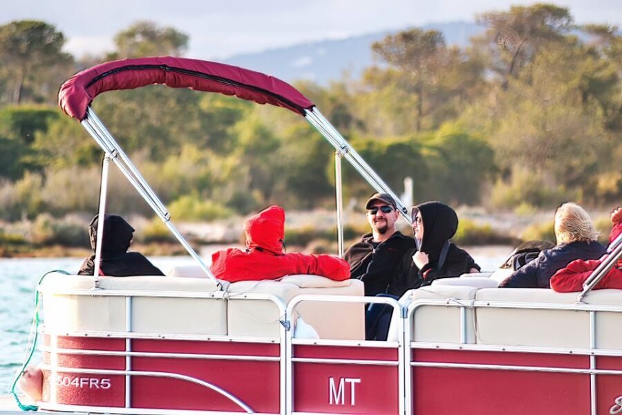 Faro: Ria Formosa Faro Islands Boat Tour - Wildlife and Bird Watching: Why Season and Tide Change Everything