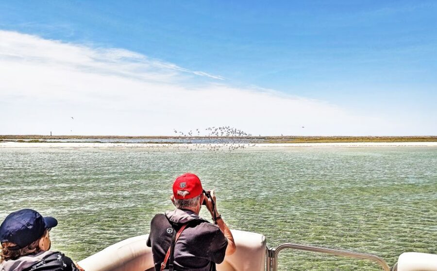 Faro: Ria Formosa Faro Islands Boat Tour - Boat Comfort, Wind, and Real-World Practical Tips