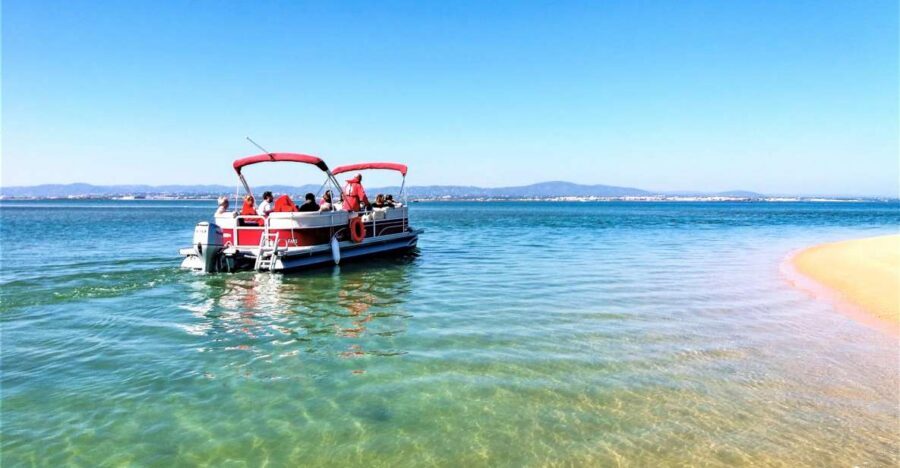 Faro: Ria Formosa Faro Islands Boat Tour - The Ride Through Ria Formosa Channels: What You’ll Actually See