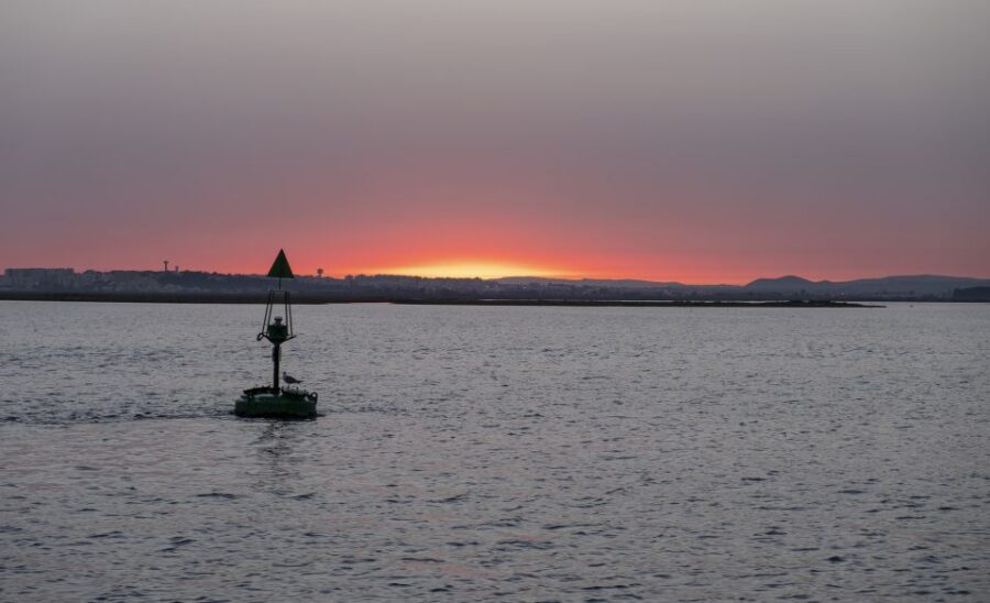 Faro: Ria Formosa Guided Sunset Tour by Catamaran - Key Highlights You’ll Actually Care About