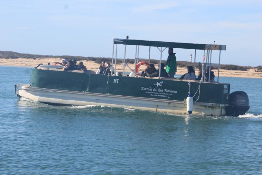Faro: Ria Formosa Guided Sunset Tour by Catamaran - Should You Book Faro’s Ria Formosa Guided Sunset Tour?