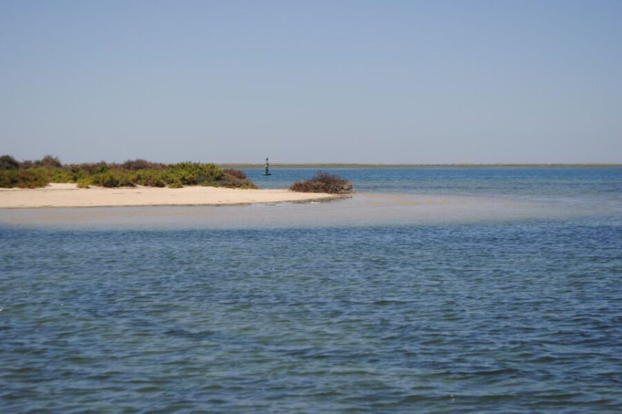 Faro: Ria Formosa Lagoon Small Boat Tour with Local Guide - Price and value: does $29 for an hour make sense
