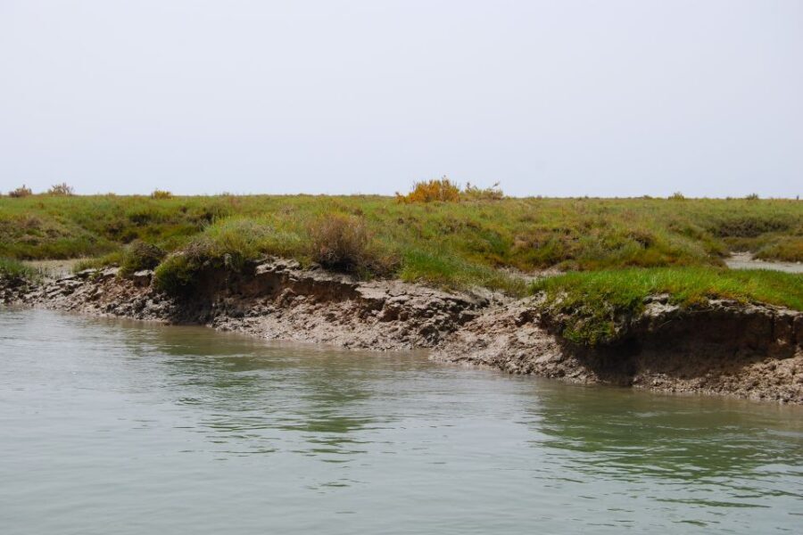 Faro: Ria Formosa Lagoon Small Boat Tour with Local Guide - Parque Natural da Ria Formosa: where the protected landscape shows up fast