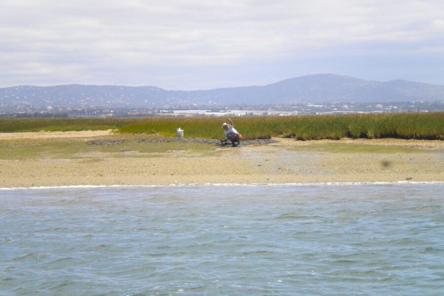 Faro: Ria Formosa Lagoon Small Boat Tour with Local Guide - Wildlife spotting works best when the guide speaks your language