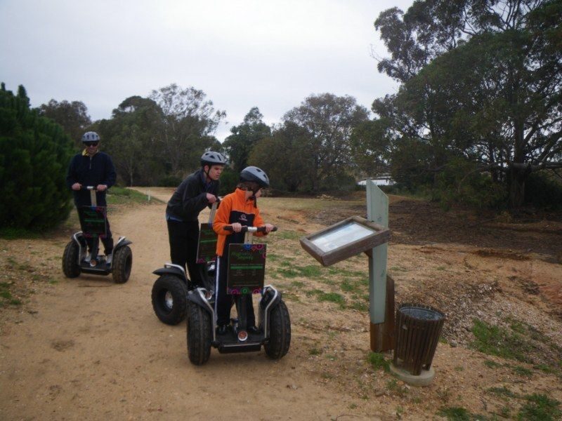 Faro: Ria Formosa Natural Park Segway Tour & Birdwatching - FAQ