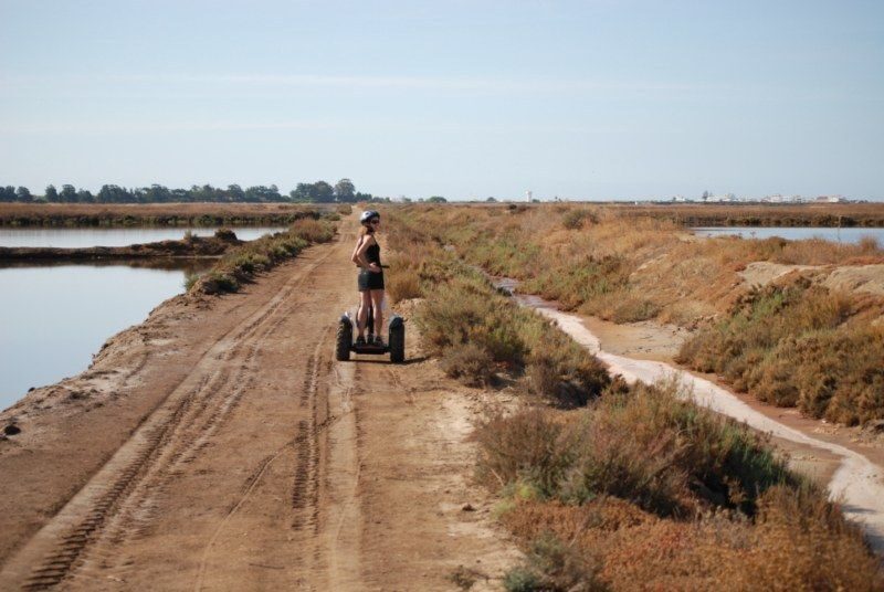 Faro: Ria Formosa Natural Park Segway Tour & Birdwatching - Timing, meeting point, and how to keep it smooth