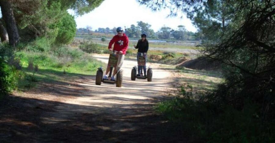 Faro: Ria Formosa Natural Park Segway Tour & Birdwatching - Price and value: is $66 a good deal?