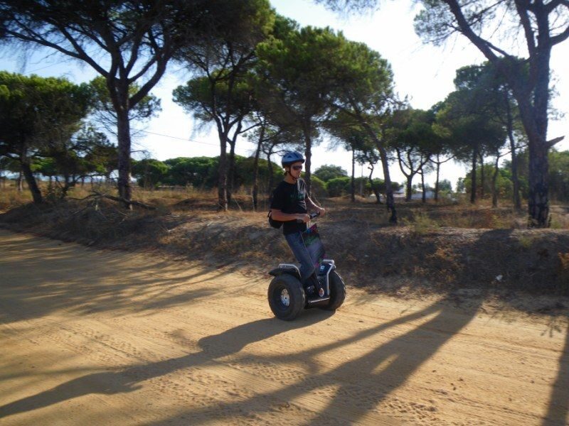 Faro: Ria Formosa Natural Park Segway Tour & Birdwatching - Should you book this Faro Segway and birdwatching tour?