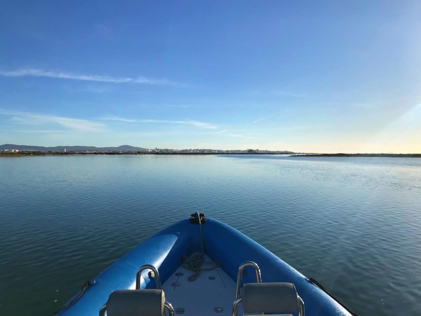 Faro: Speed Boat Tour - Key Points You’ll Care About