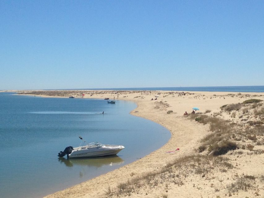 Faro: Speed Boat Tour - The Ria Formosa Natural Park Cruise: Fast Views, Real Context