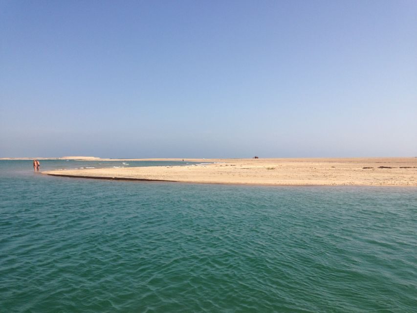 Faro: Speed Boat Tour - What Else You Might See: Oysters, Coastal Life, and Small Villages