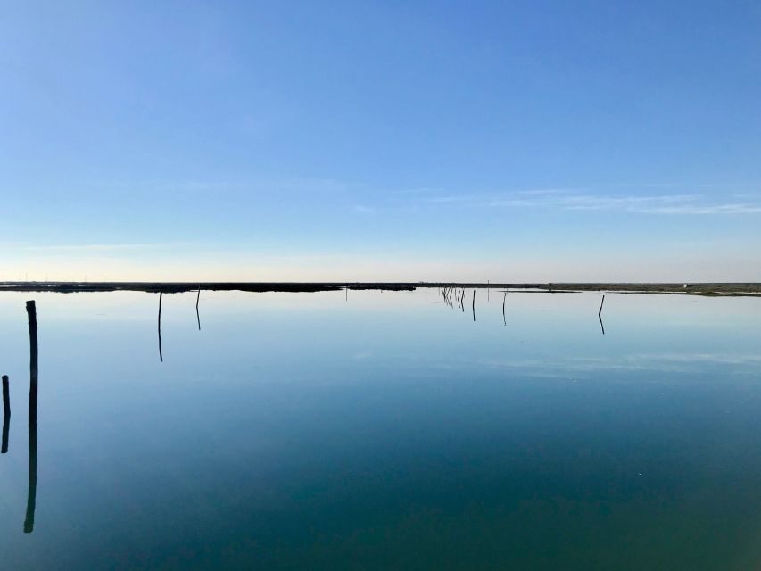 Faro: Speed Boat Tour - Price, Value, and What’s Not Included