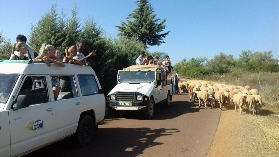 From Albufeira: 4x4 Off-Road Safari & Vineyard Wine Tasting - Why This 4x4 Safari Works When You’re Done With Beach Days
