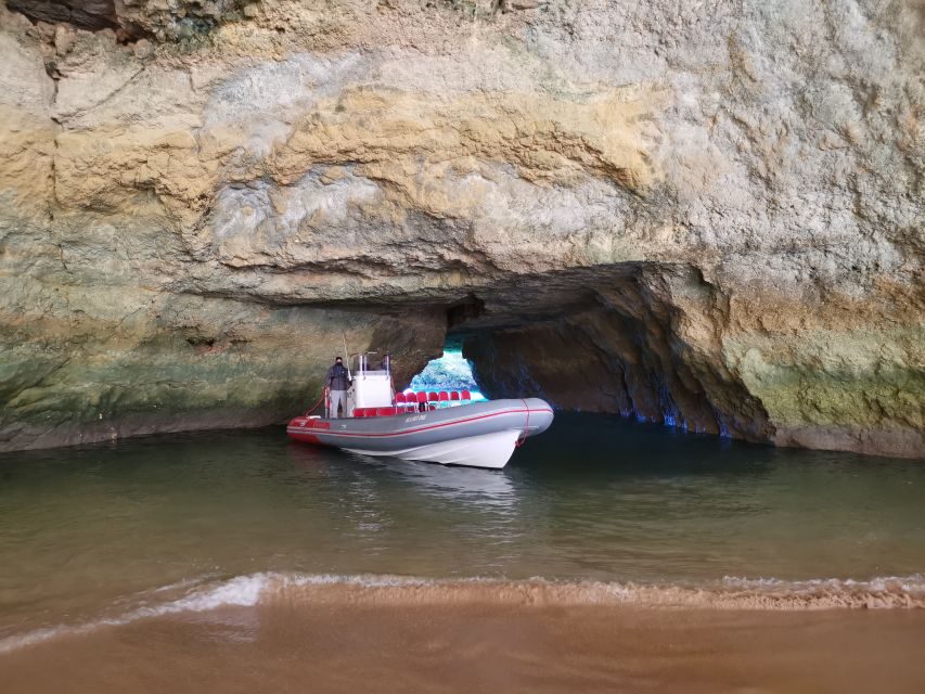 From Albufeira: Benagil Caves and Dolphins Guided Boat Tour - Key things to know before you go