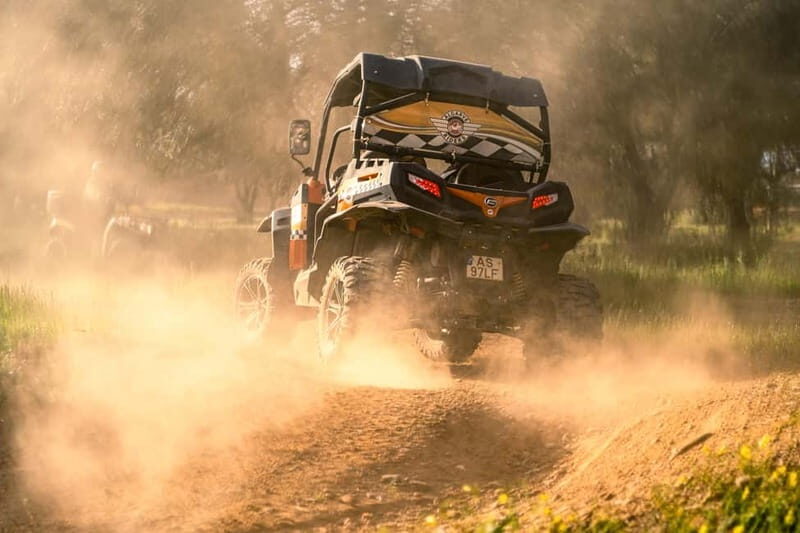 From Albufeira: Half-Day Buggy Adventure Tour - Logistics that matter: licenses, deposit, and what to bring