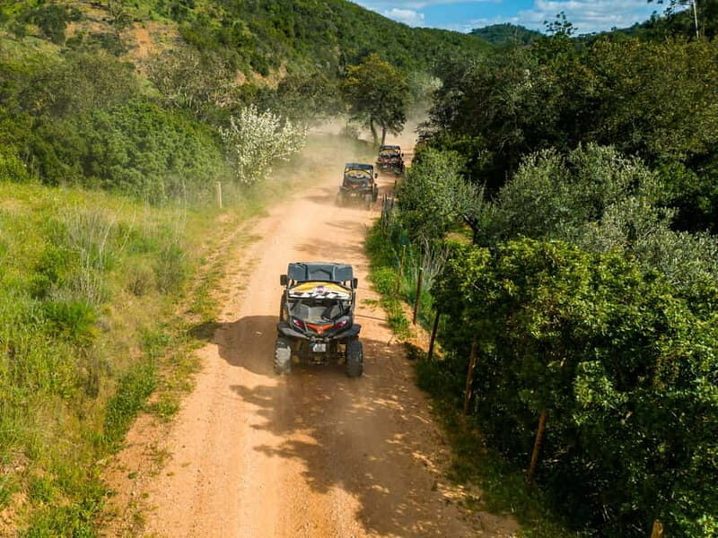 From Albufeira: Half-Day Buggy Adventure Tour - Escarpão to Travessia da Amoreira: where the off-road feeling begins