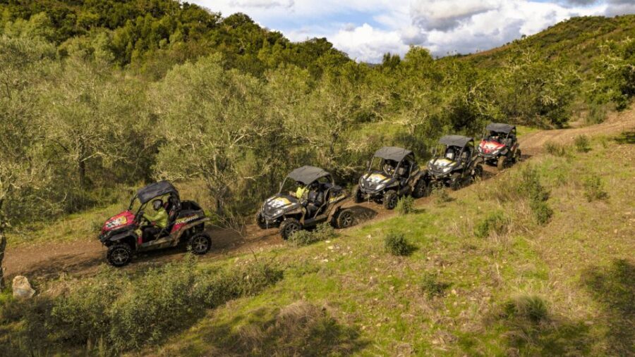 From Albufeira: Half-Day Buggy Adventure Tour - How hard is the driving, and what it feels like on the controls