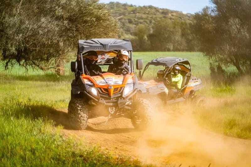 From Albufeira: Half-Day Buggy Adventure Tour - Price and value: what $209 per group really buys