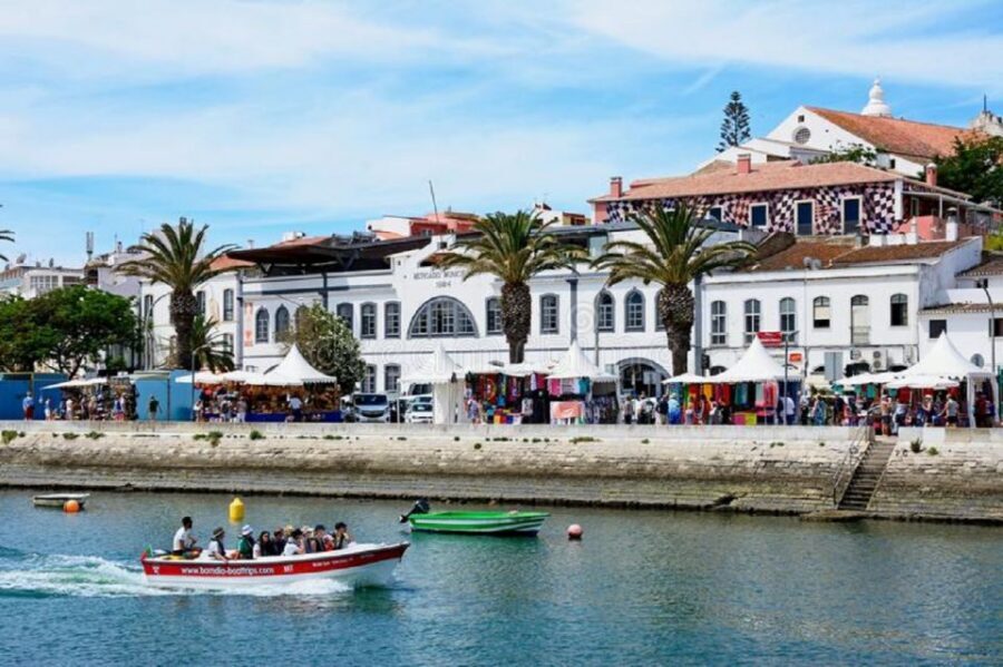 From Albufeira: Half-Day Lagos & Sagres Highlights Tour - What to Bring (and How to Stay Comfortable)
