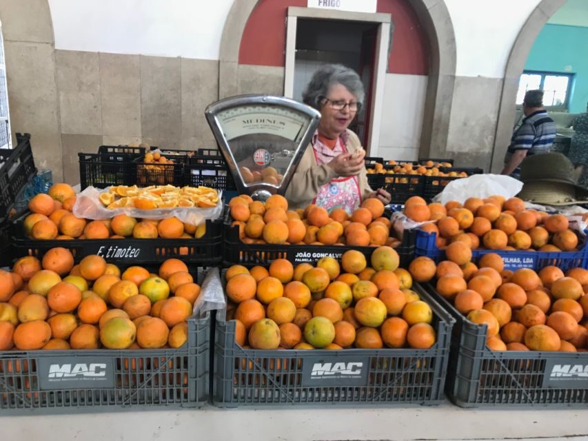 From Albufeira: Wine Tasting & Historic Silves Tour - Wine tasting of 3 Algarve wines: how to get the most out of your glass