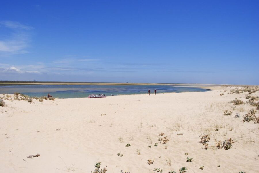 From Faro: 2-Hour Guided Bird Watching Boat Trip - The 2-hour itinerary: what happens during the cruise
