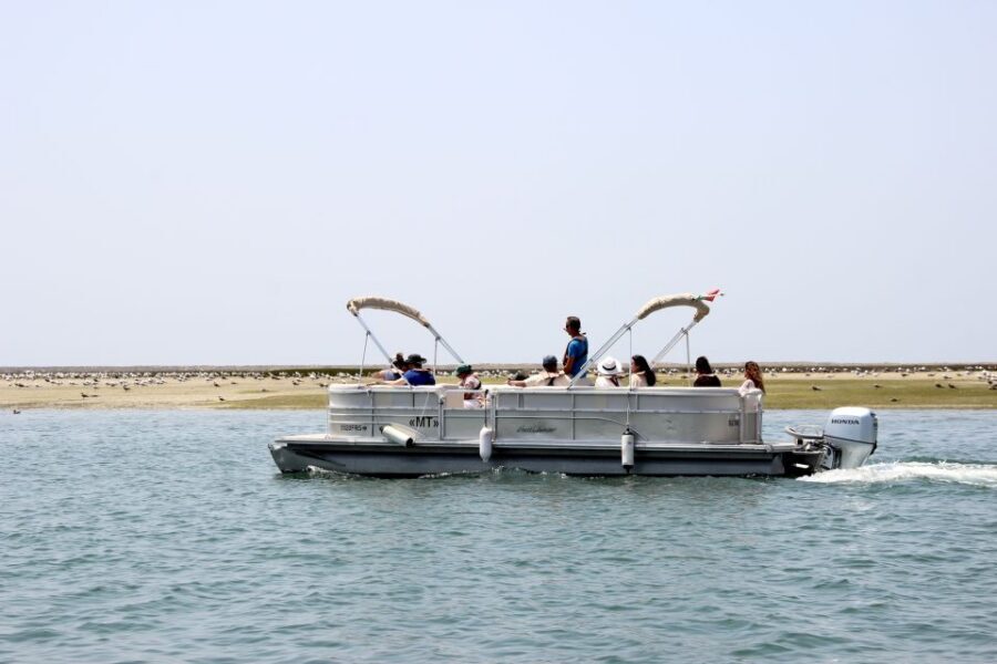 From Faro: 2-Hour Guided Bird Watching Boat Trip - Value and price: is $47 a good deal?