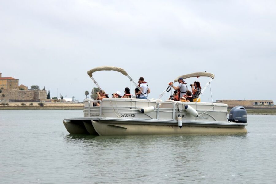 From Faro: 2-Hour Guided Bird Watching Boat Trip - What to bring (and how to dress) for the best comfort