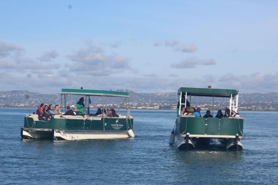 From Faro: 2-Island, 2-Stop Ria Formosa Catamaran Tour - Ria Formosa by Catamaran: The 3-Hour Rhythm That Works