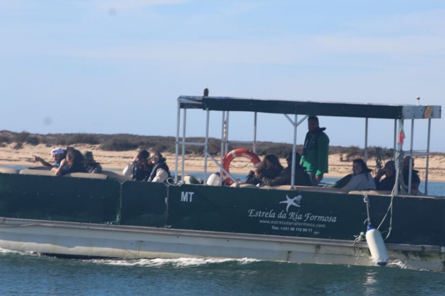 From Faro: 2-Island, 2-Stop Ria Formosa Catamaran Tour - The Guided Ride in Parque Natural da Ria Formosa: Where the Park Comes Into Focus