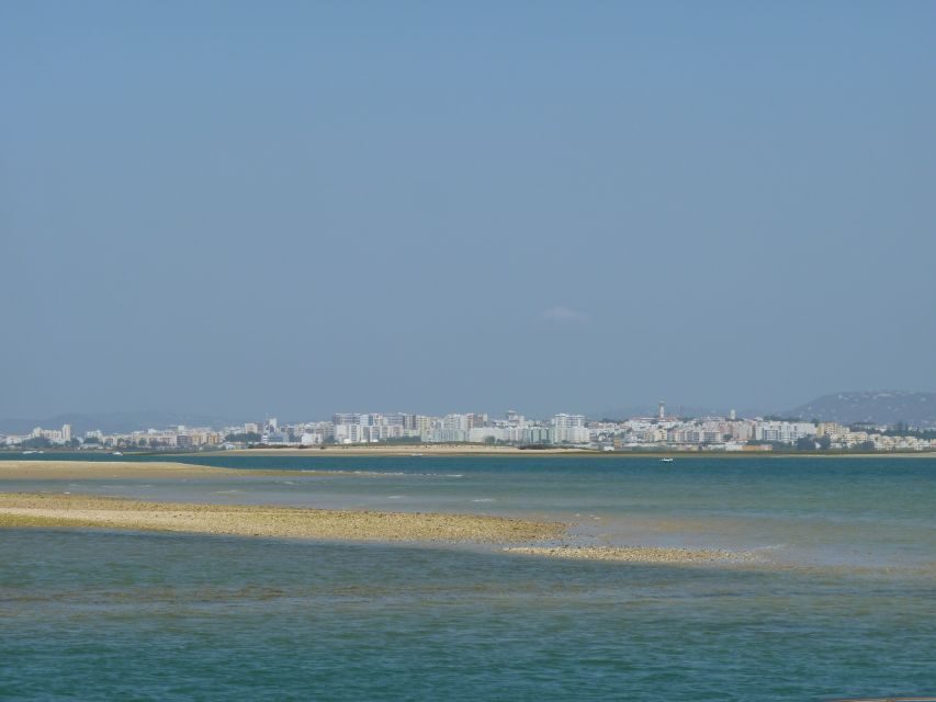 From Faro: 2-Island, 2-Stop Ria Formosa Catamaran Tour - Stop 1: Ilha Deserta’s 45 Minutes—Beach Time and a Real Chance to Swim