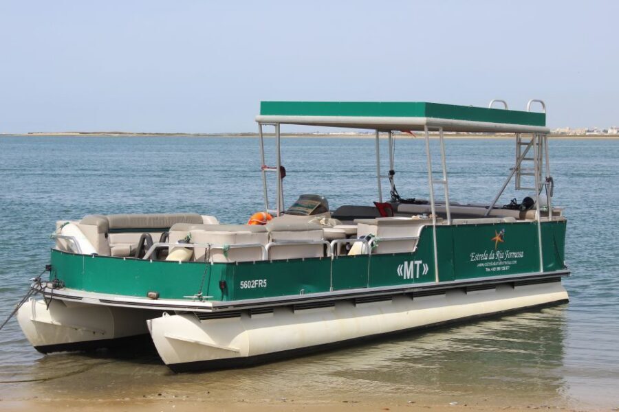 From Faro: 2-Island, 2-Stop Ria Formosa Catamaran Tour - Dolphins, Birds, and the Reality of Nature Time