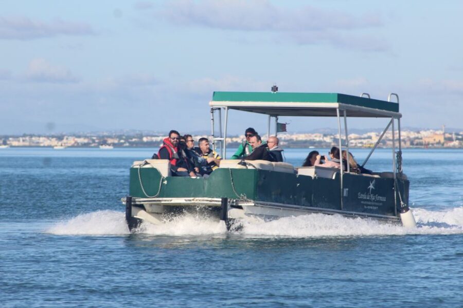 From Faro: 4 Stops, 3 Islands in Ria Formosa Catamaran Tour - Parque Natural da Ria Formosa: birds, marsh edges, and that first dose of calm