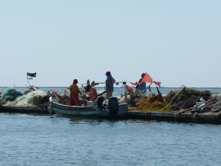 From Faro: 4 Stops, 3 Islands in Ria Formosa Catamaran Tour - Stop 1: Ilha Deserta for real swimming and snorkel time