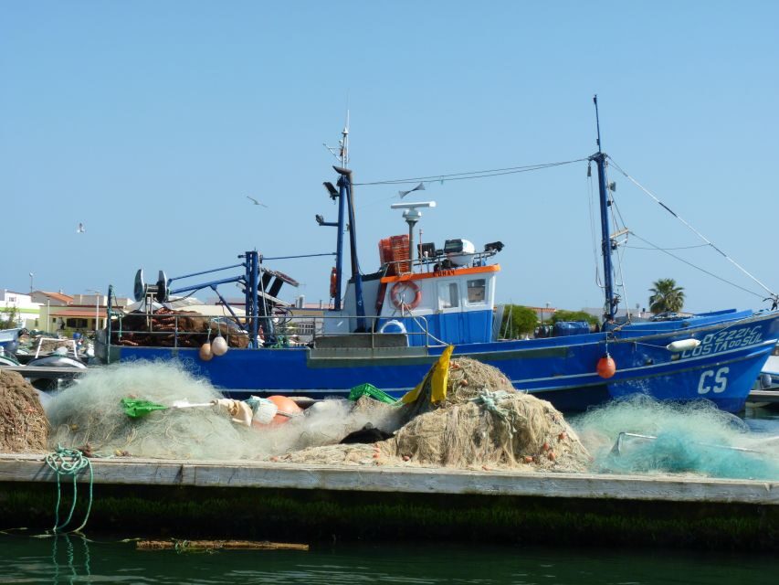 From Faro: 4 Stops, 3 Islands in Ria Formosa Catamaran Tour - Stop 2: Ilha do Farol for lighthouse photos and Algarve house views