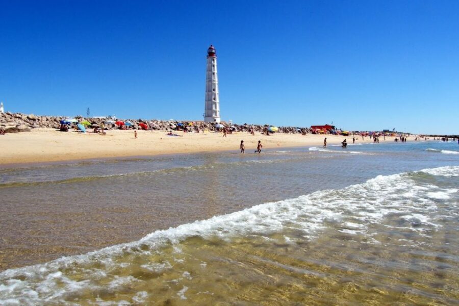 From Faro: 4 Stops, 3 Islands in Ria Formosa Catamaran Tour - Culatra Island: village time, optional fish lunch, and oyster farming context